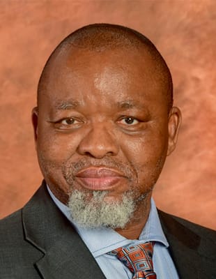 President Cyril Ramaphosa appoints Acting Minister of Police
